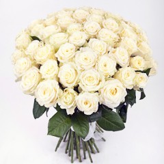 51 white rose